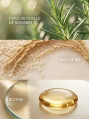 Duo Shampoing & Après-Shampoing au Romarin